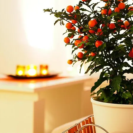 شقة Anuska تْسافتات