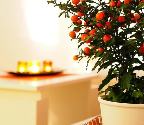 Appartement Anuska Cavtat